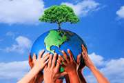 Environmental Health