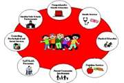 School Health 